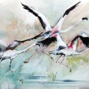 Flight In Green ~ Mixed Media On Paper ~ Frances Simpson
