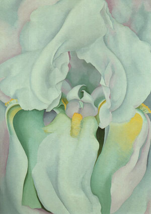 "Light Iris" - Georgia O'Keeffe 1924