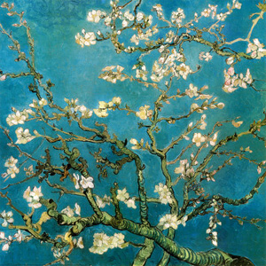 Almond Branches In Bloom - Vincent Van Gogh 1890